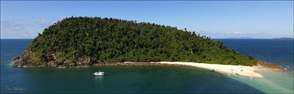 Kent Island - QLD (PBH4 00 14080)